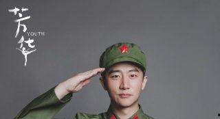 芳华演员表照片,青春记忆里的璀璨星光