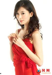 高圆圆背景,从影视新星到时尚女神的华丽蜕变